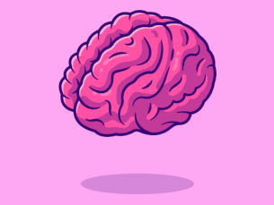 asygdala如何影响焦虑